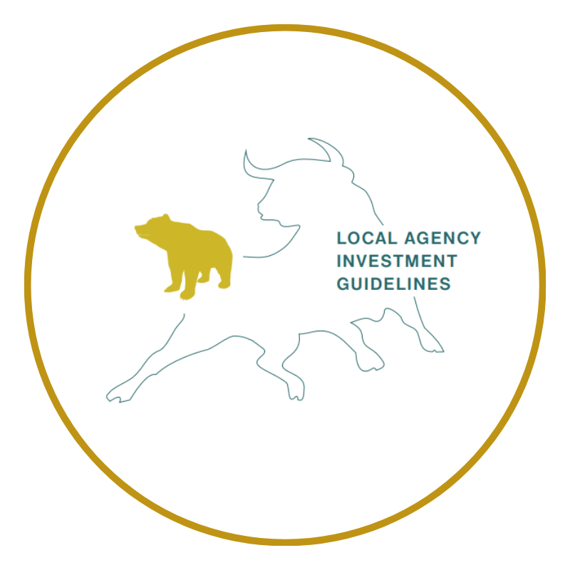 Local Agency Investment Guidelines