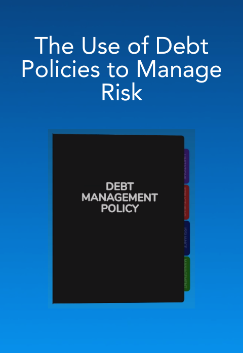 The Use of Debt Policies to Manage Risk