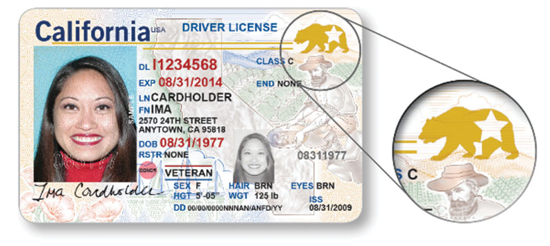 ca-real-id-example